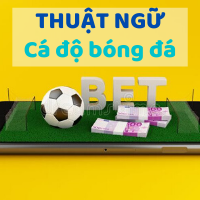 Cẩm nang Thuat ngu ca do bong da online cho lính mới.