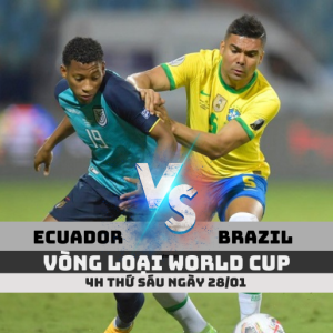 nhan dinh ecuador vs brazil vong loai world cup soikeo79