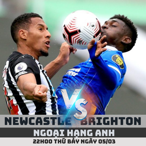 Nhận định soi kèo Newcastle vs Brighton – 22h ngày 5/3