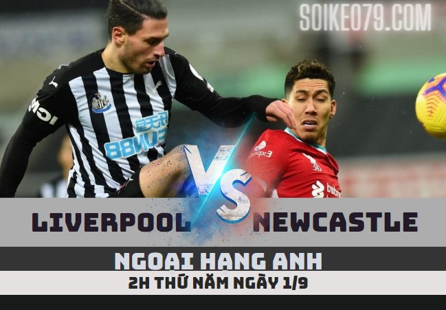 nhan dinh liverpool vs newcastle 31 8