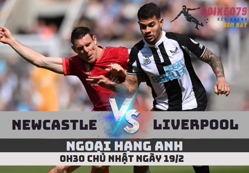 newcastle vs liverpool soikeo79 ngoai hang anh live