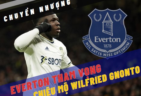 Everton tham vọng chiêu mộ Wilfried Gnonto soikeo79